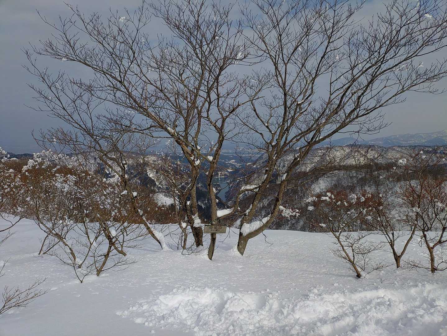 御堂山登頂っ！

一瞬、オクシー（奥獅子吼）まで行こうかと思ったけど御堂筋(登山道分岐から山頂までの道)に登っている時あまりにも腹減ってしまって山頂までで即撤収。

※御堂筋←勝手に命名🤣🤣