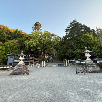多度さんおはようございます👏