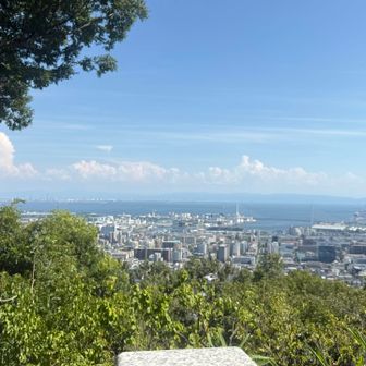 保久良神社からの眺めもいいです。