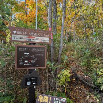 岩戸公園コースから下山🚶🏻
こちらのルートは、崩れた箇所が多数⚠️