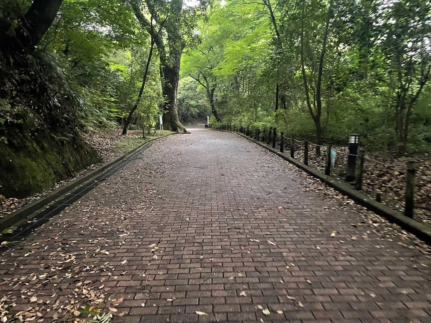 すっかり整備されてますが、私の子ども時代の遊び場です。