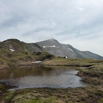 別山の南東側斜面って沢山の割れ目？筋があって迫力がありますね😳