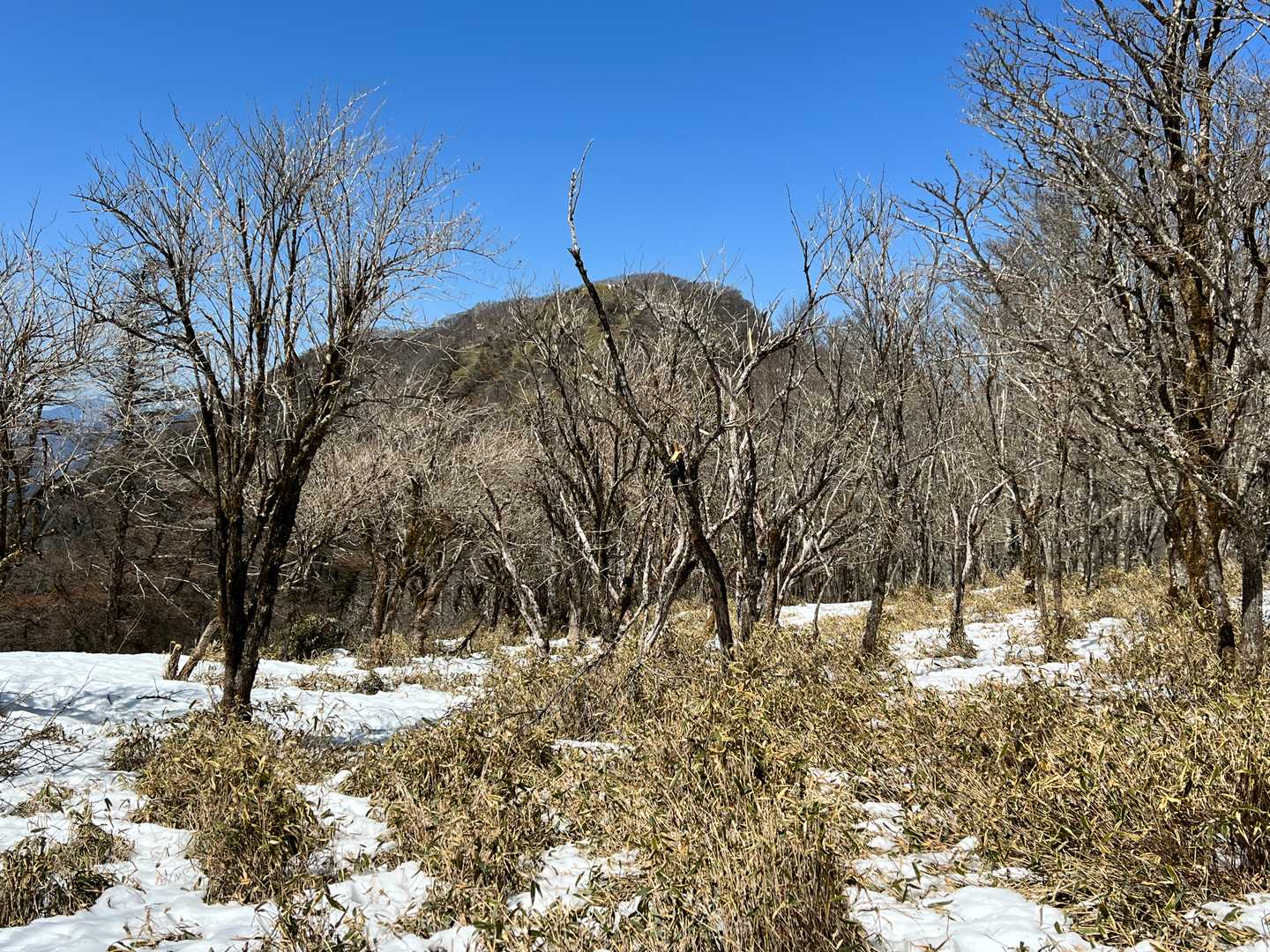 これから向かう十枚山。