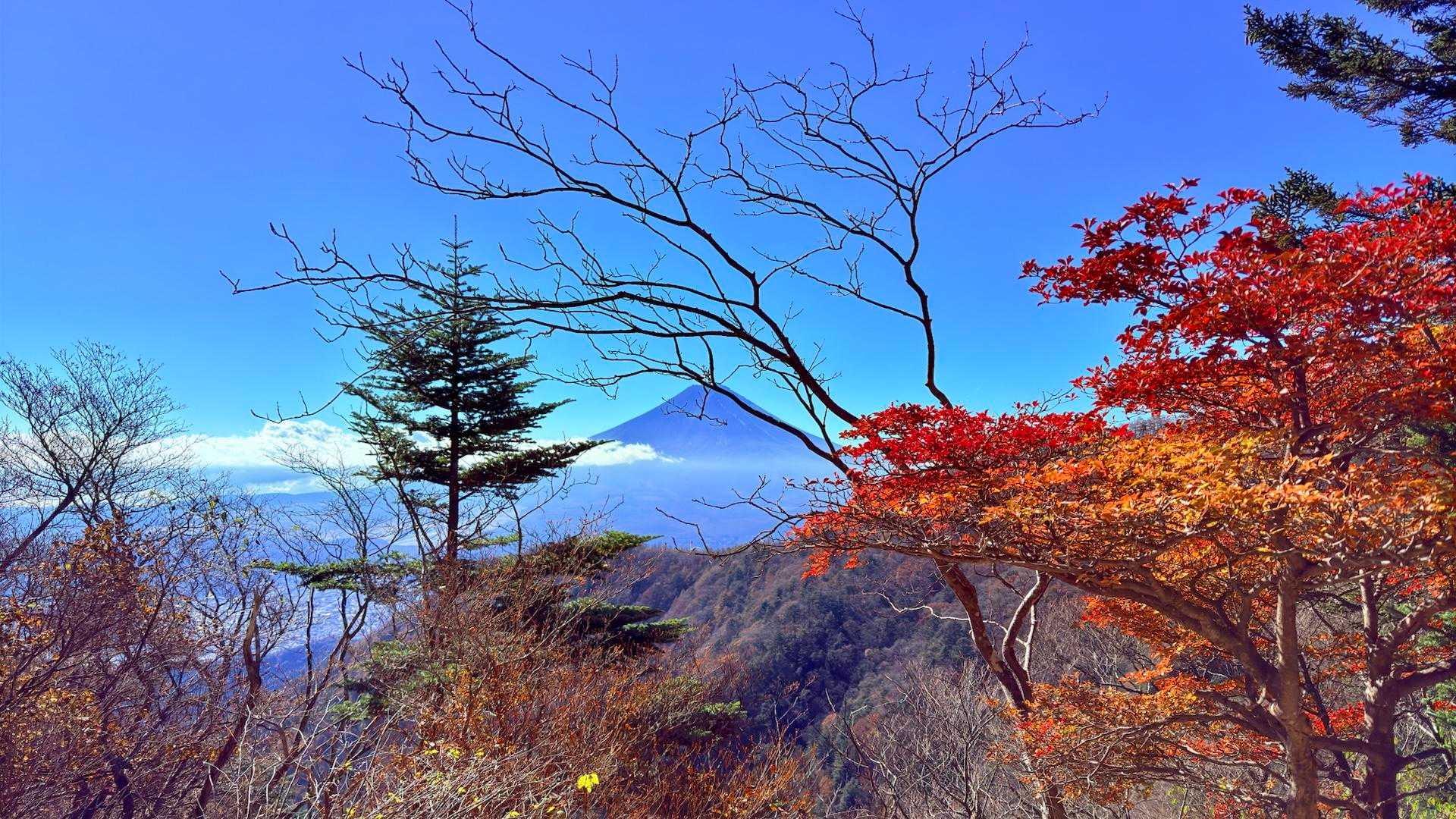 三つ峠駅〜河口湖駅｜三ッ峠山・木無山・霜山・天上山縦走コースの写真