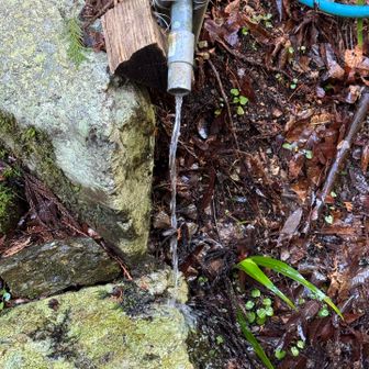 これ飲めるんかな