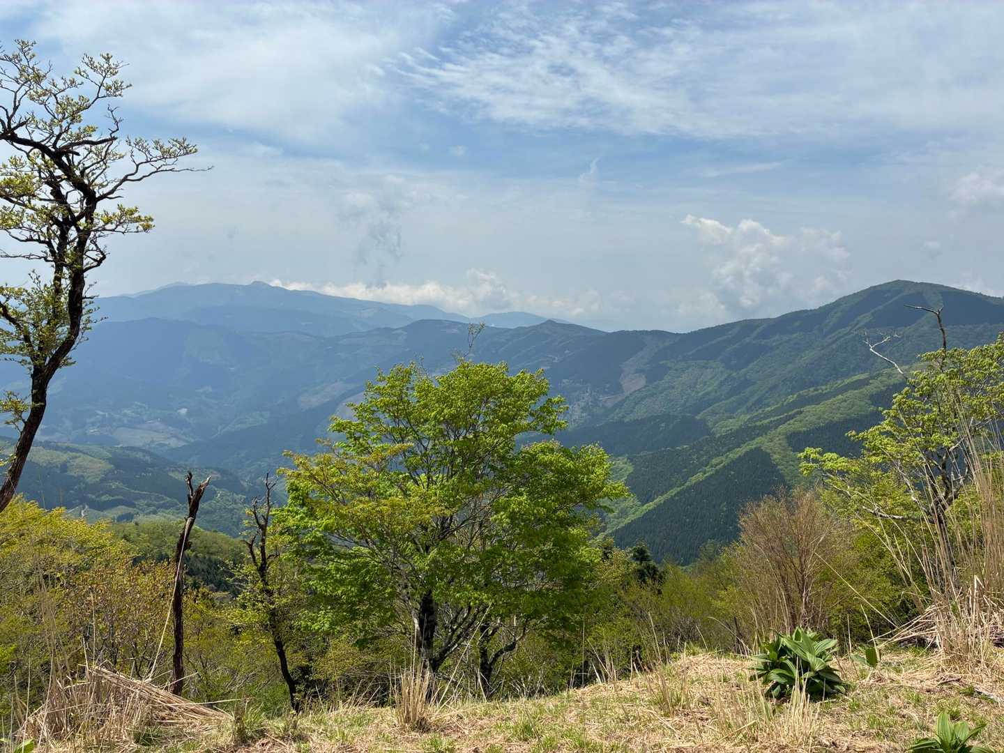 白鳥までの稜線は左手に絶景を見ながらの素敵なハイキングコース