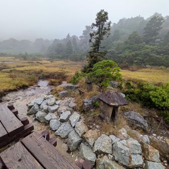 ひと山超えて
花之江河  湿原

日本最南の高層湿原🩵

🙏🏻祠がありました。