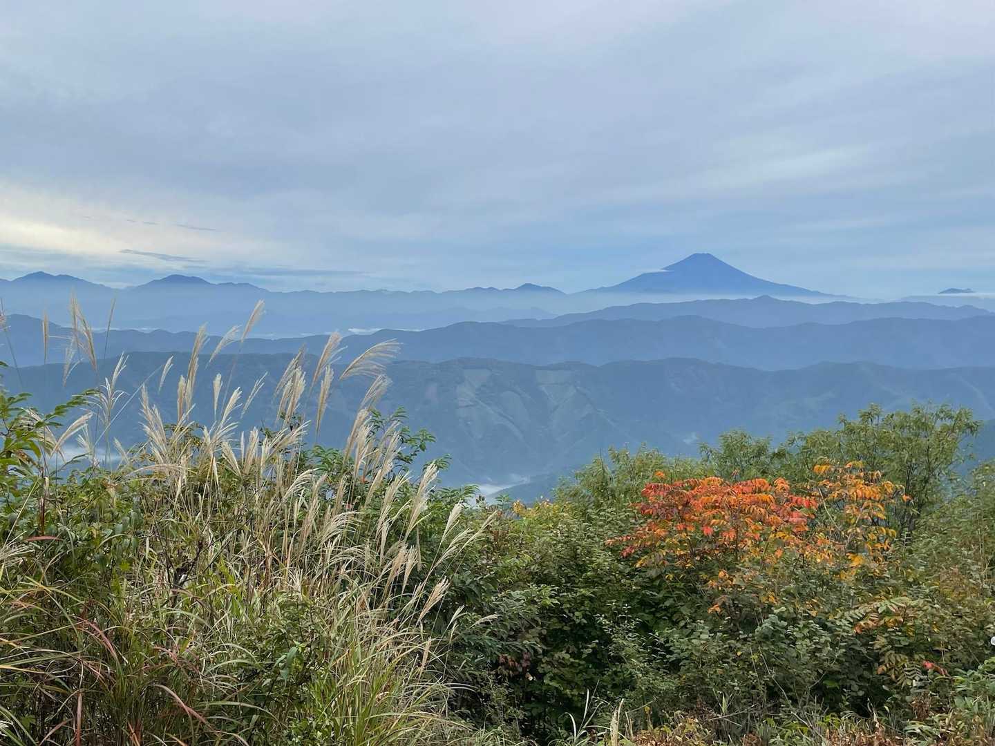 紅葉も始まってる。