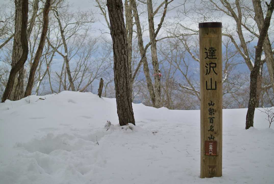 山梨百名山⛰
達沢山