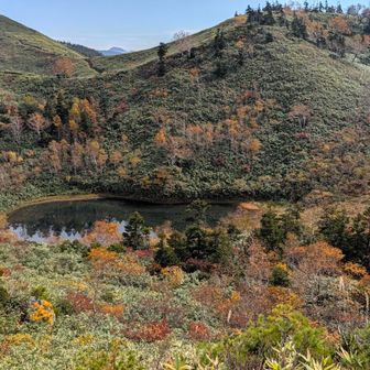 沼に見えますが、この山の雰囲気だと火口湖かなぁ…