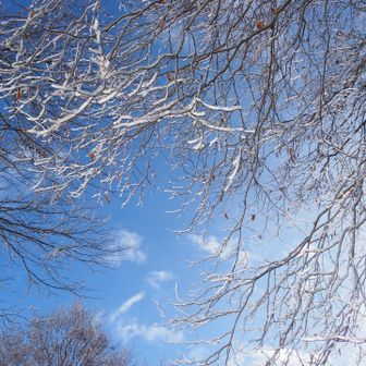 思ったより天気も良く青空に