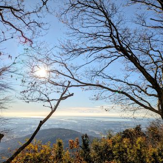 海まで見えますか😳
霞ヶ浦までですね😁