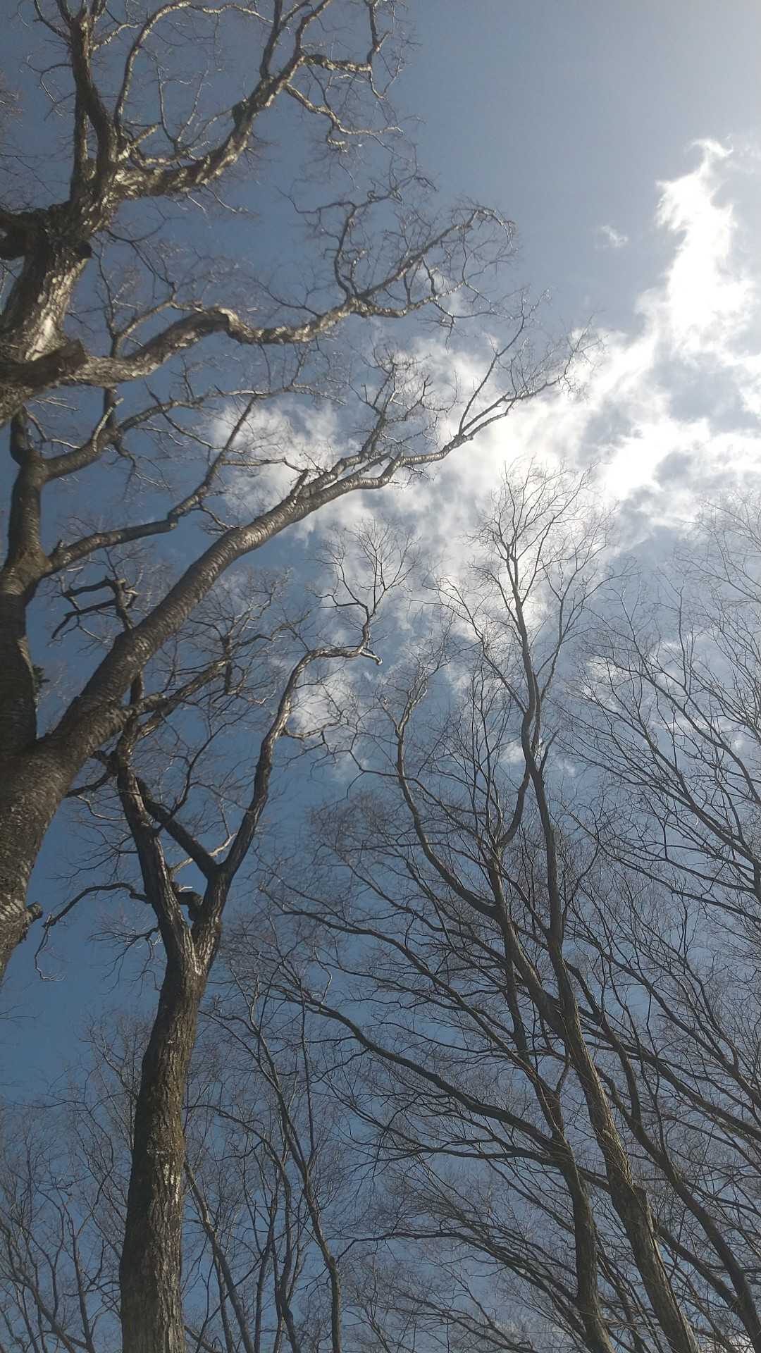 青空ですけど、風が強いです😅