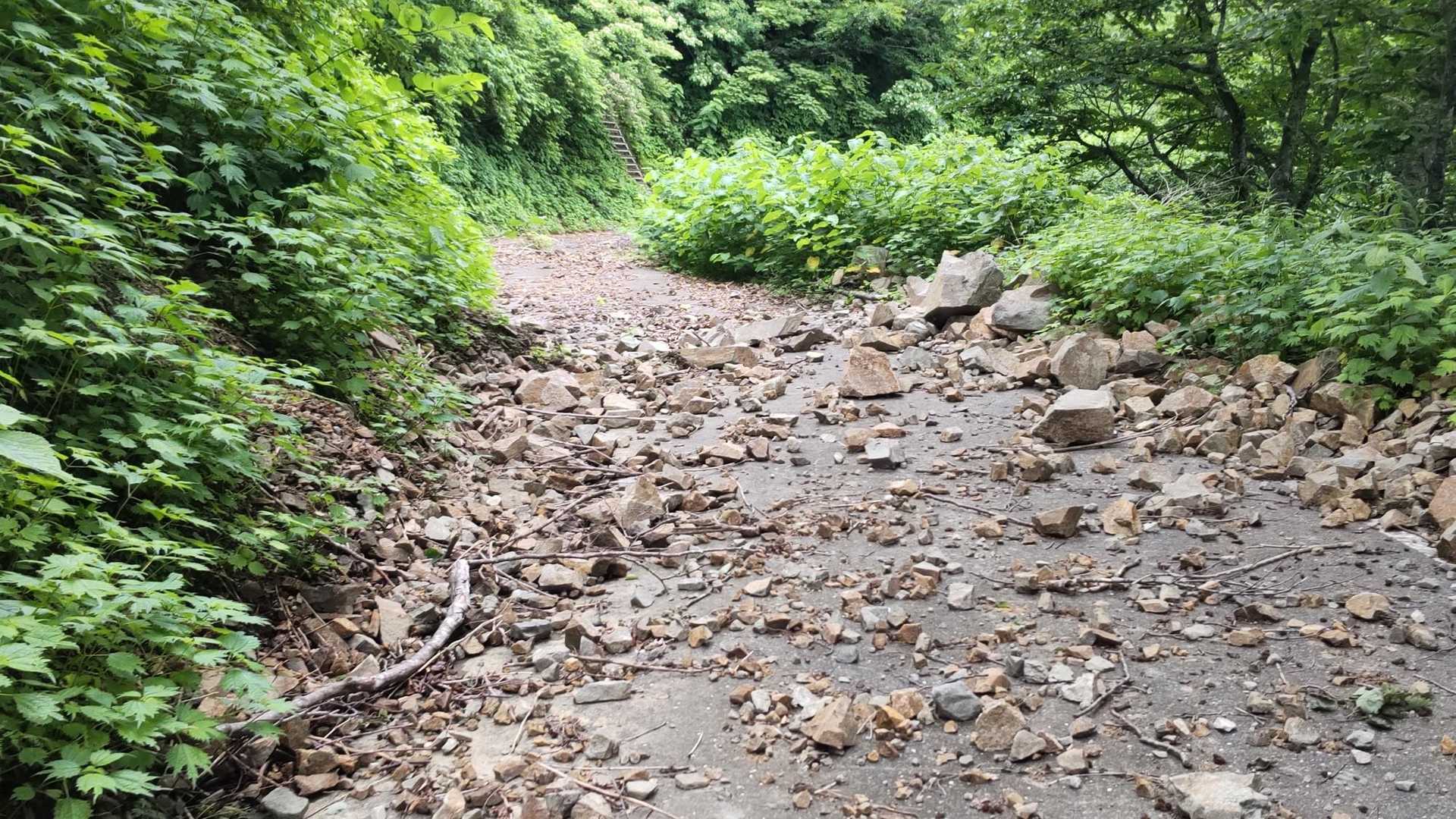 前僧ヶ岳-僧ヶ岳 往復コースの写真