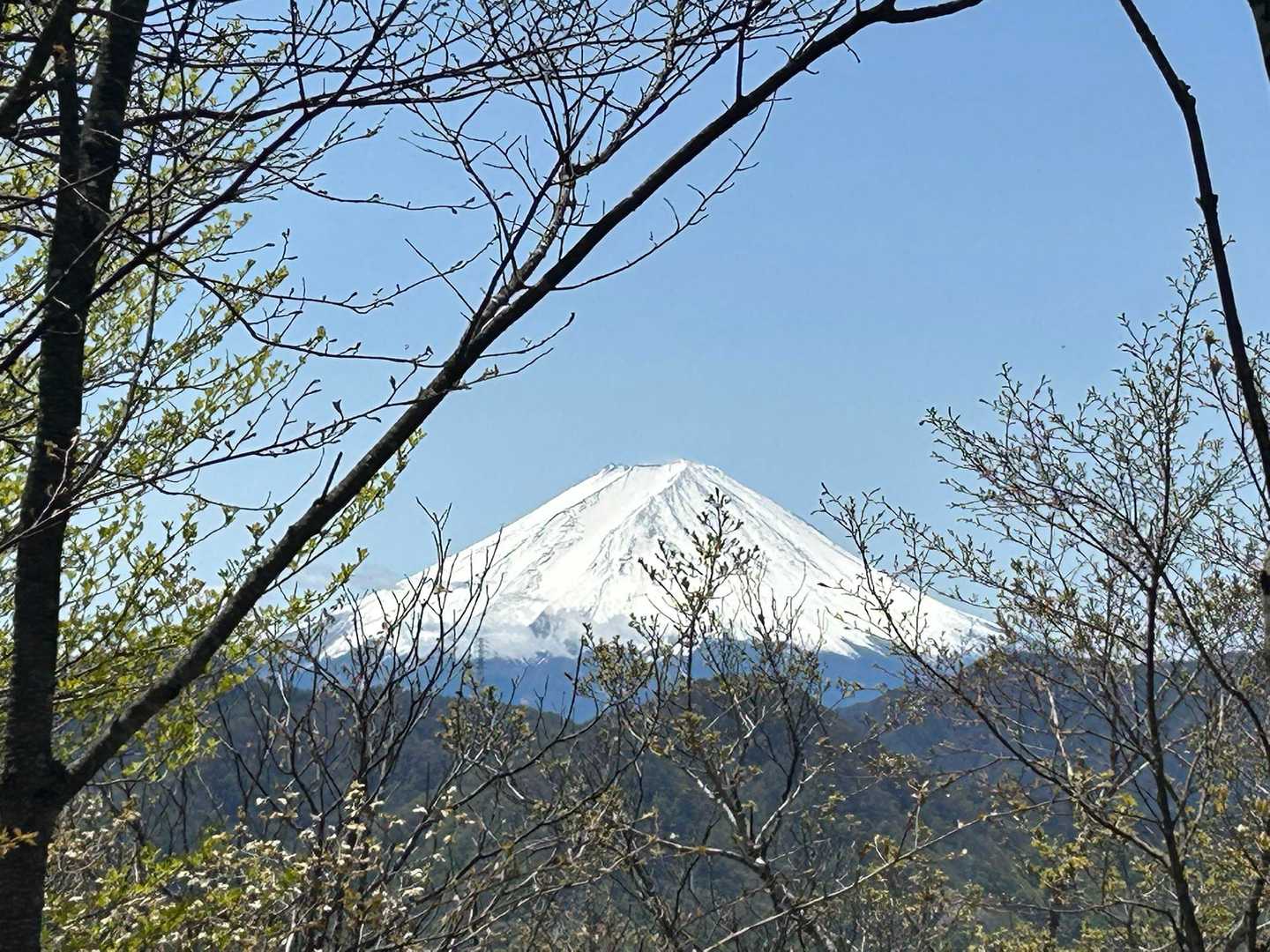 笹子雁ヶ腹摺山登り口-笹子雁ヶ腹摺山-米沢山-お坊山-大鹿 縦走コースの写真
