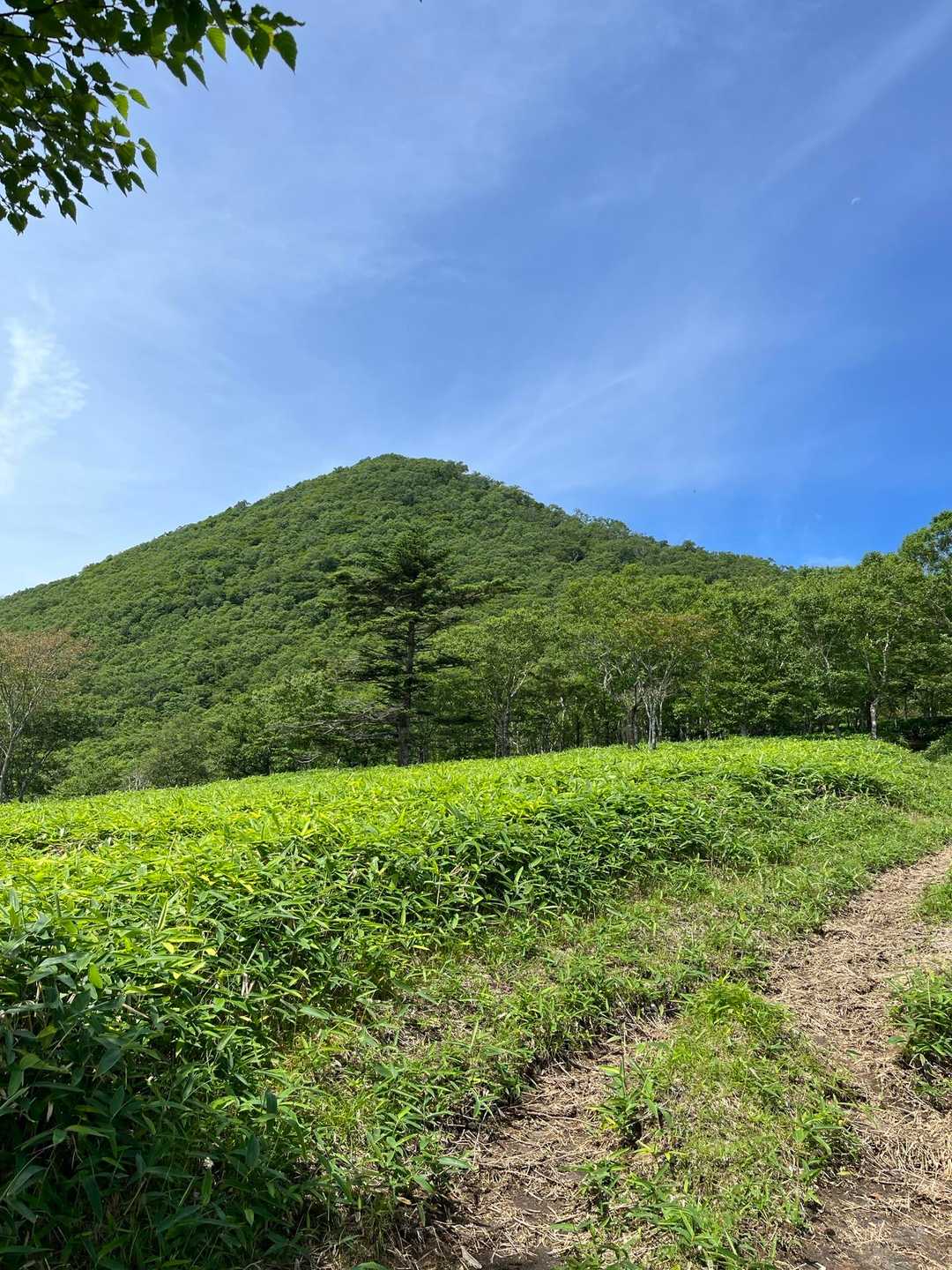 霧降高原レストハウス-丸山 周回コースの写真