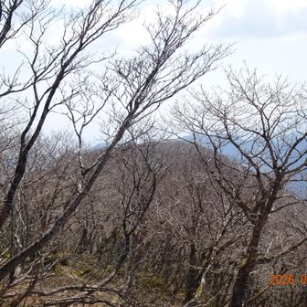 P1036まで距離有ります、行きませんよ。