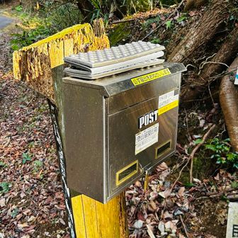 拾ってくださった方ありがとうございます🙇‍♀️