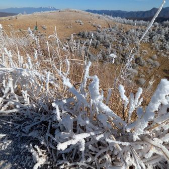 これから向かう大盛山