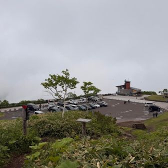 どんなお天気でも盛況