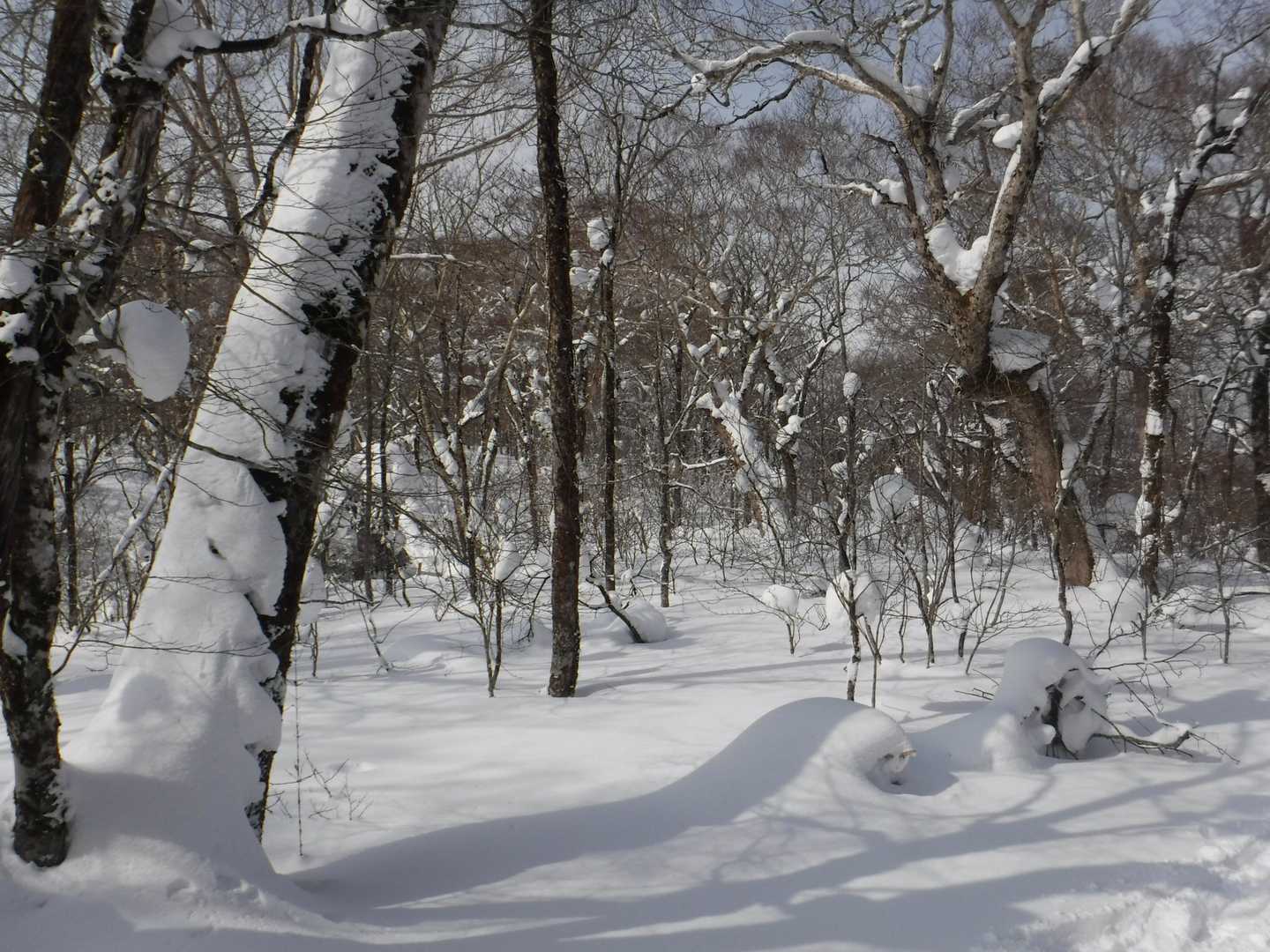眺望無し。
その他も特に無し。