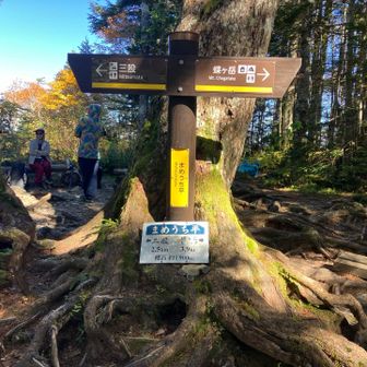 下山は階段が設置されている場所が多く歩きやすい