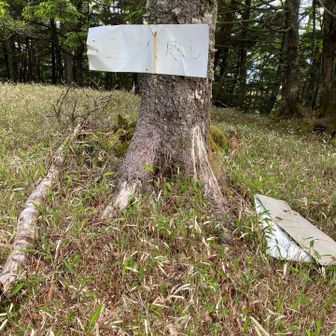 少し離れたところにも山頂標識