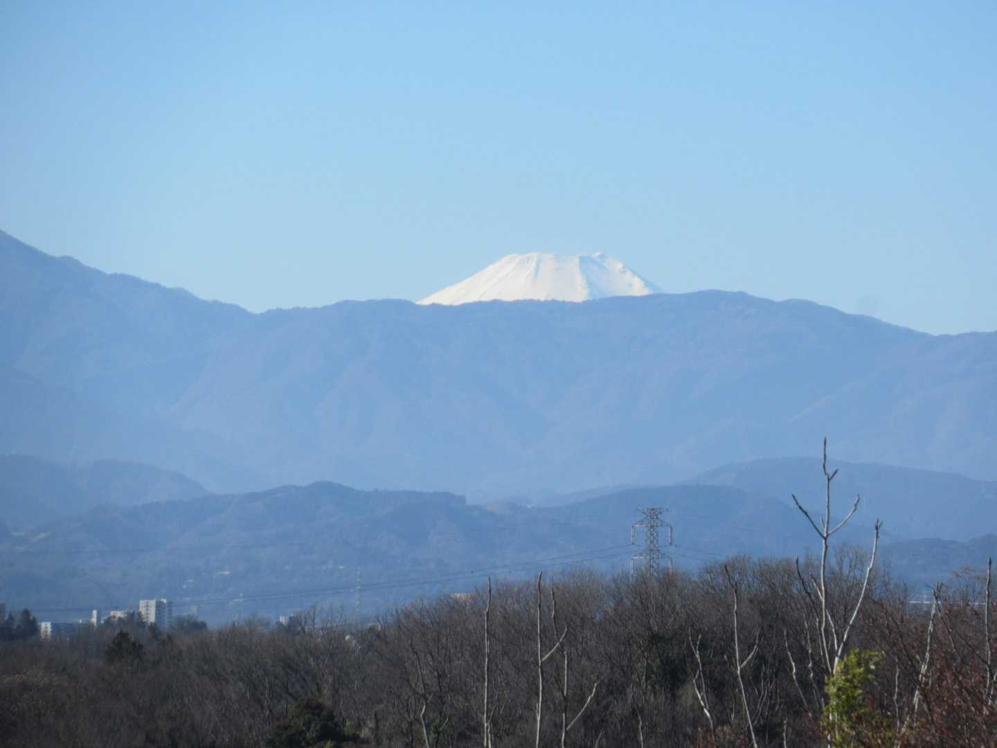 諏訪ヶ岳-古道五差路 縦走コースの写真