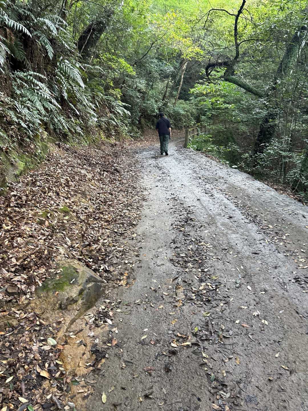 ずっと歩きやすい緩やかな坂道