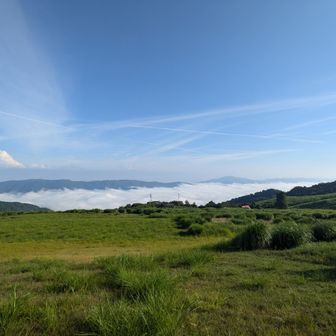 雲海