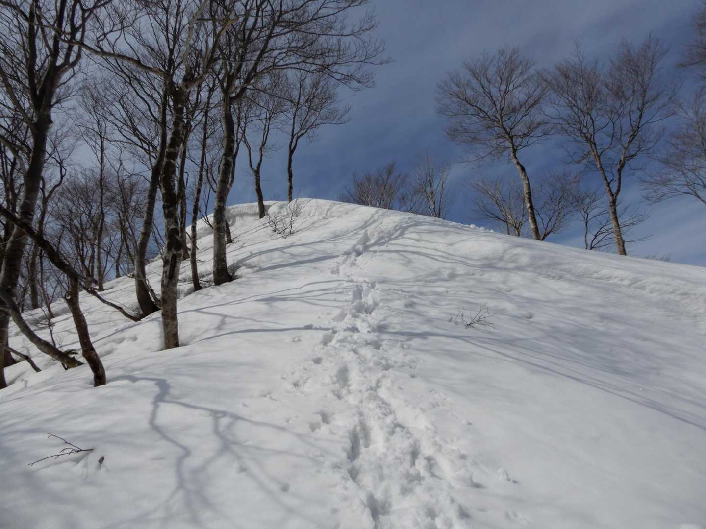 丁子山から湧谷山に向かう時のコース。先行者のトレースがあり安心安心。