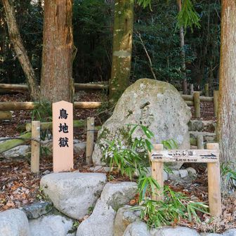 鳥地獄💦　鳥さん逃げて〜