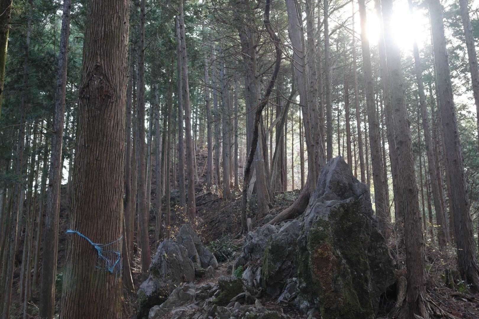 看板の通り😅