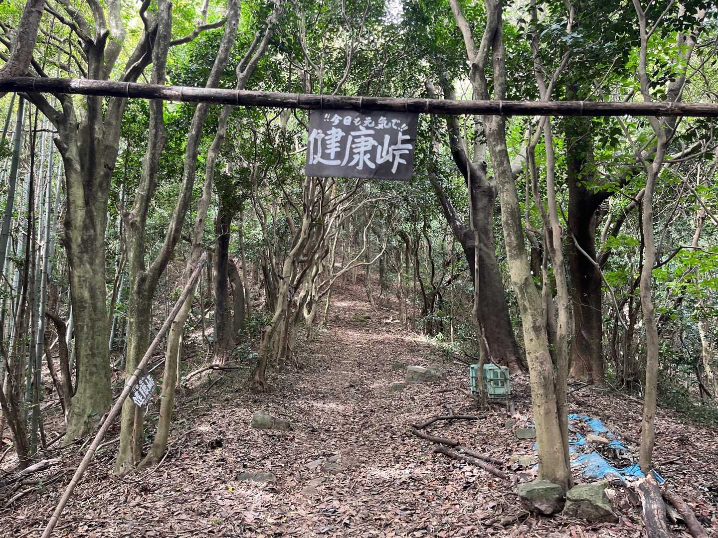 藤ノ木越-高塔山 往復コースの写真