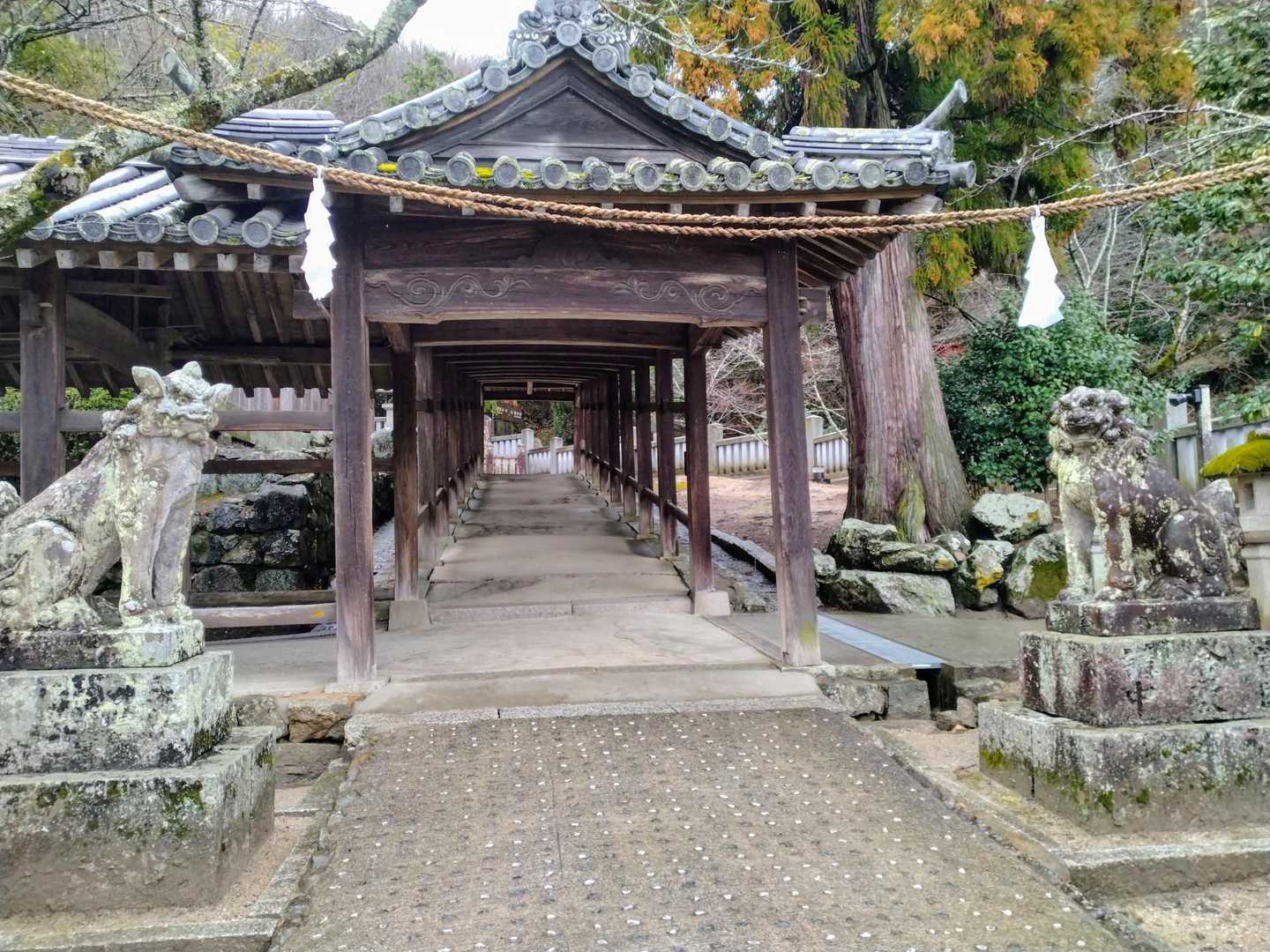 吉備津神社到着！！

ボランティアスタッフさん
「余力があれば廻廊通って行ってみ！」

おやおや････