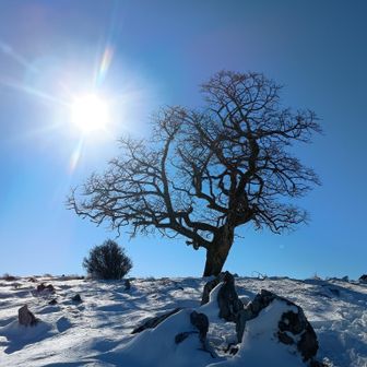 東ボタンブチから下ります