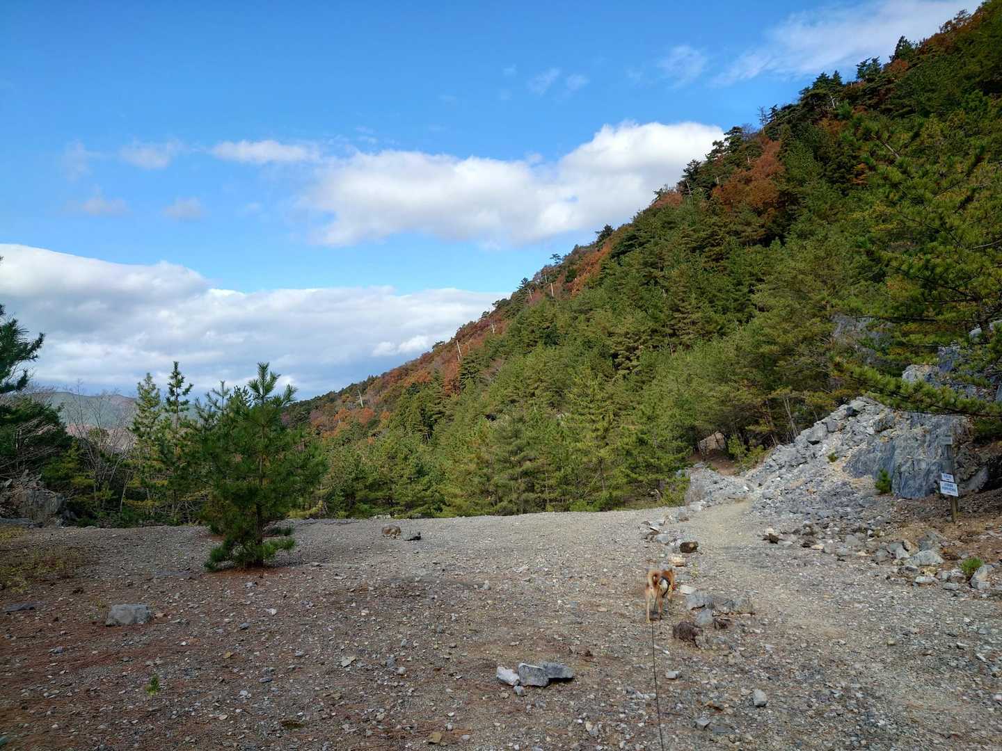 阿曽浅間山-網掛山-大理石石灰採石跡 往復コースの写真