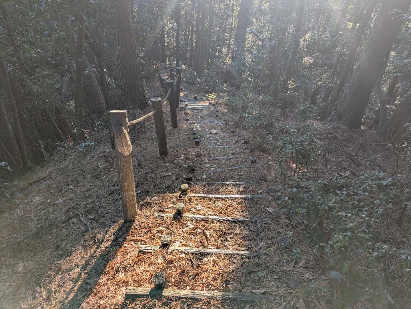 釈迦ヶ岳登山口-釋迦ヶ岳 往復コースの写真