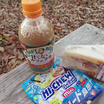 今日のお昼ごはん