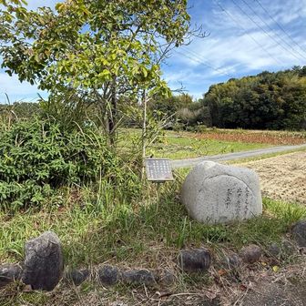 1番近いと選んだ観光トイレ近くの登山口からの道は短いけど急傾斜を登ります〜💦
天岩戸神社からをお勧めします
