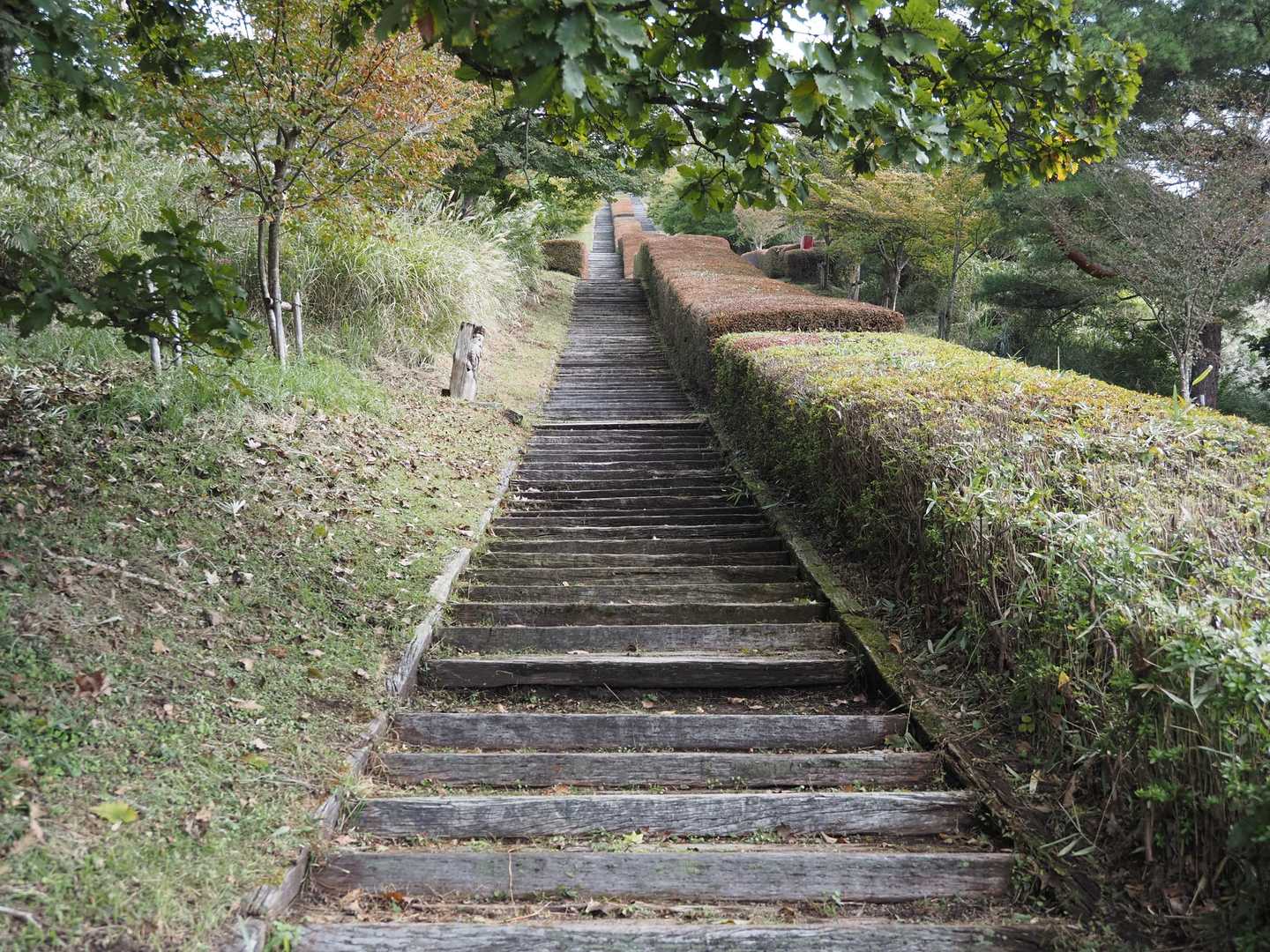 栗野岳第2峰-栗野岳 往復コースの写真
