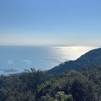 柔らかい光に癒されます✨✨
