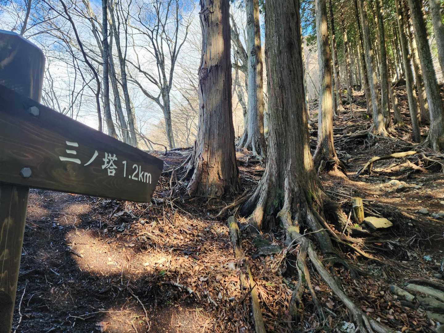 あと1.2km。急登に見えるけど細かくつづら折りになっているし、今日はゆっくりゆっくりだから大丈夫。
一緒に行った友人も、「あれを登れたんだ✨」って喜んでました😄ゆっくり行けば大丈夫👌