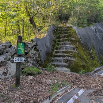 登山口 森林セラピー基地だとか。セラピーに来るのも楽じゃないぜ💧‬