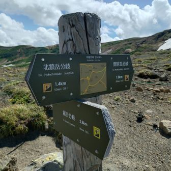 中岳分岐。ここを直進して、中岳を拾う