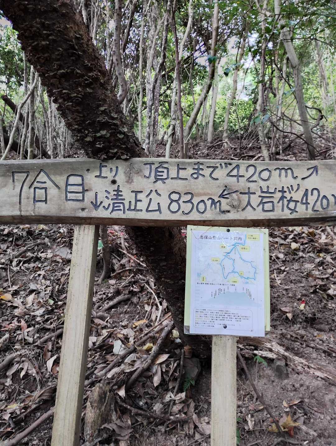 7合目ね、あと420m