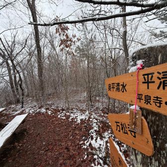 登頂〜
山頂標識代わりの札あるが、隣の護摩山とかに立派な標識付けられるのであれば千歳山にも何か…