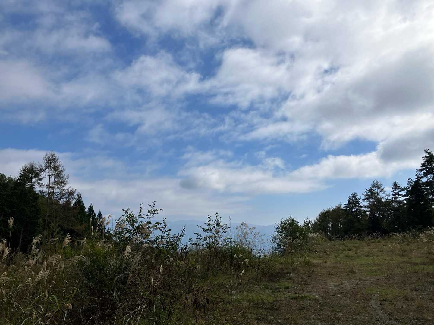 東に青空😑