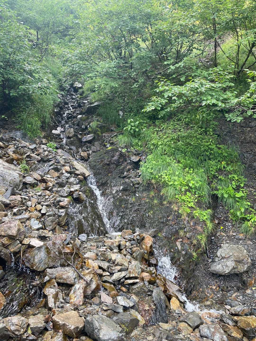 小仙丈尾根 | 南アルプスの女王への階段、甲斐駒と富士山を背に極上の稜線歩きの写真