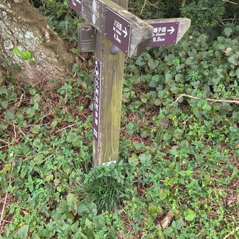 九州自然歩道の標識
ソロソロ新しくしてほしいなぁー
スカイウォーカーズ、パークエリアです